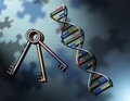 Key to Our Genealogy Puzzles