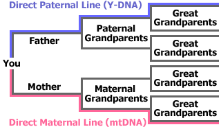 Pedigree